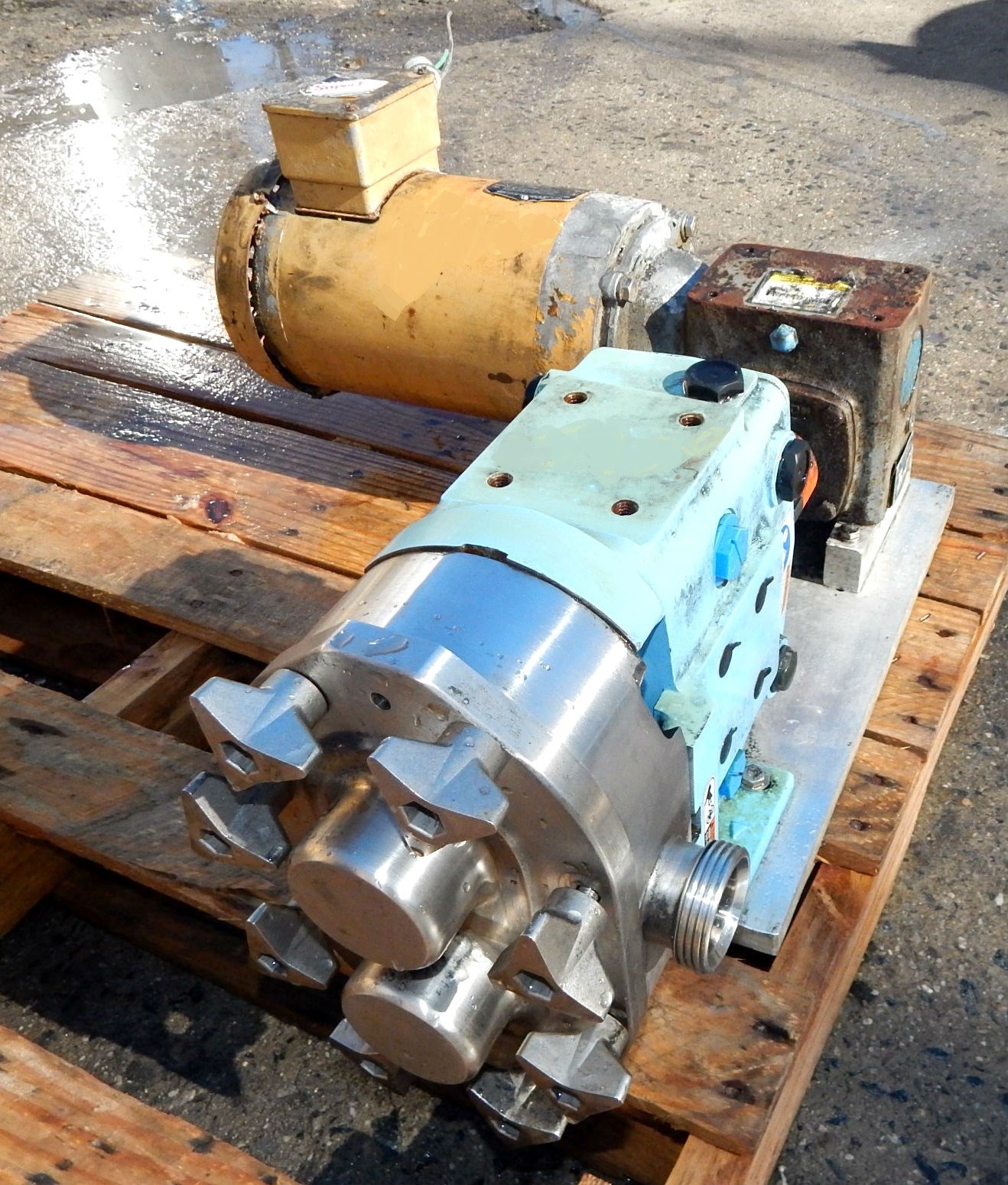 2 HP Waukesha SS Positive Displacement Pump | 13091 | New Used And ...