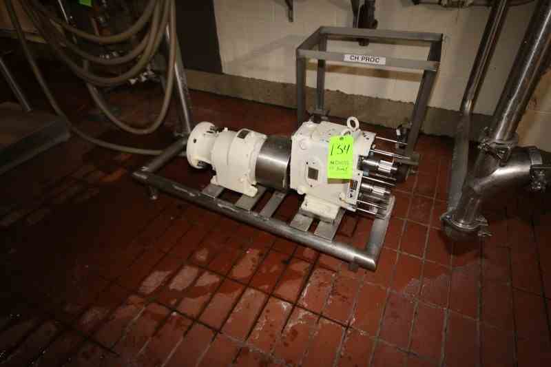 1 HP WCB SS Positive Displacement Pump