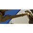 12 " Wide Astec Carbon Steel Conveyor