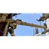 12 " Wide Astec Carbon Steel Conveyor