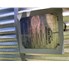 1661 Gal GasTech Engineering LLC Vertical Carbon Steel Pressure Vessel