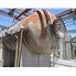 2457 Gal Praj Industries Horizontal Carbon Steel Pressure Vessel