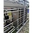 Bucher Denwel DFP100A-11019 Flash Pasteurization Skid