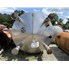 Ziemann Bauer GmbH Stainless Steel Hot Liquor Tank